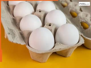 अब हर अंडे पर लिखी होगी एक्सपायरी डेट, इस राज्य में लागू हुआ नया नियम
