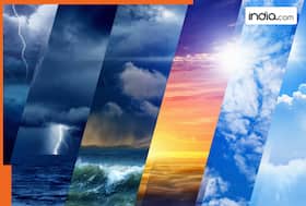 india.com top news