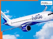 Good news amid ongoing war; IndiGo Airlines to operate many flights from Middle East to Indian cities