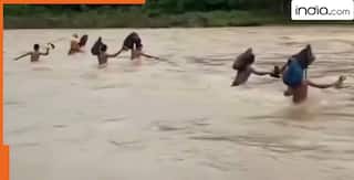 स्कूल जाने के लिए पुल नहीं, नदी पार कर स्कूल जाते हैं इस गांव के बच्चे, शिक्षा पाने के जज्बे को आप भी करेंगे सलाम