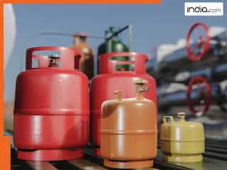 LPG Cylinder Shortage: This State decides to give subsidy to eateries shifting to electric cooking, commercial hotel licences to...