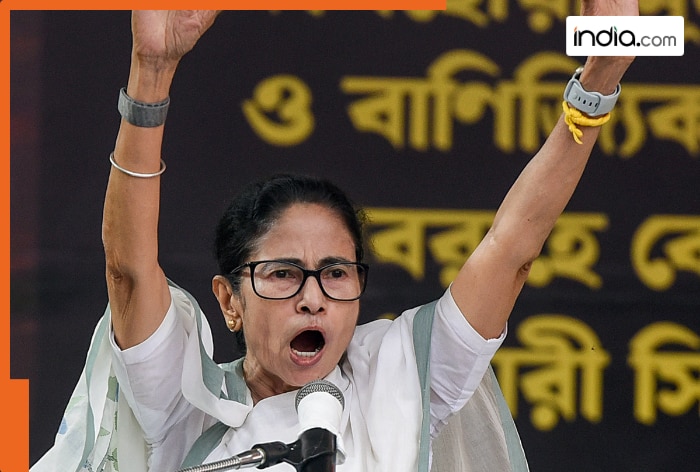 Mamata Banerjee makes bold prediction for West Bengal Assembly Election 2026, says 'TMC will win...'