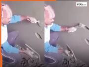 Viral Video Today: समय कैसे काटते हैं राजमिस्त्री ने दिखाया, कामचोरी का वीडियो हुआ वायरल | देखिए