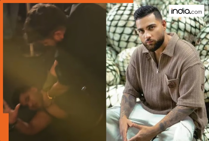 Karan Aujla Delhi Concert: Fight breaks out at Delhi Concert; viral videos raise crowd safety concerns - WATCH