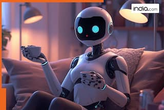 ‘Just fired her’: Bengaluru techie installs AI roommate in kitchen, catches cook stealing apples | Check viral post