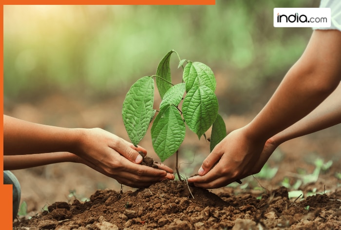 UP to become green state as 242 crore saplings planted in 9 years; key details inside