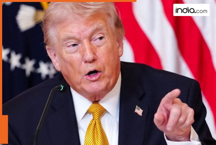 Donald Trump asks China, Japan to ‘get involved’ in West Asia crisis, says ‘don’t need Strait of Hormuz’