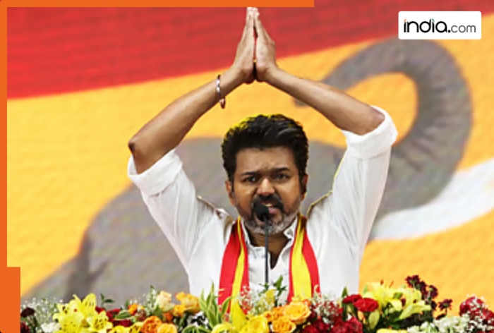 Vijay to become 'king', trends show Stalin 'out' of power in Tamil Nadu