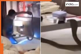 india.com top news
