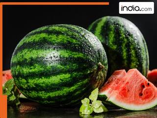 india.com top news