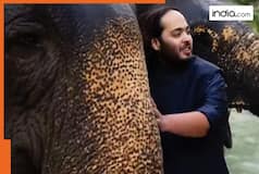 Anant Ambani launches major animal welfare initiative in Matheran, ensures healthcare for 650 horses