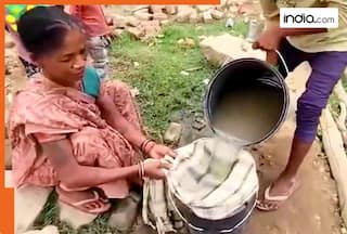 india.com top news