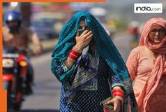 Weather update: IMD issues heatwave alert in Delhi-UP amid rising temperatures, rainfall in THESE places