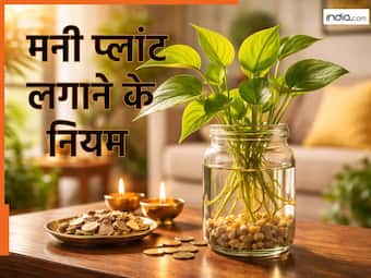 india.com top news