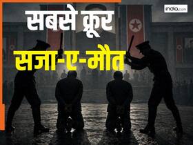 india.com top news