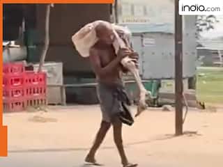 india.com top news