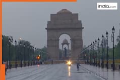 Delhi rains: Delhi-NCR gets relief from severe heatwave as rain lashes parts of the national capital; temperature drops, IMD issues statement