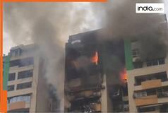 Ghaziabad fire: Massive fire breaks out at Green Avenue Society flat in Ghaziabad; several flats gutted