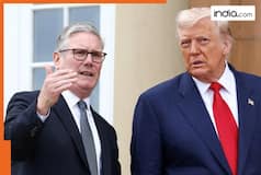 Is Trump contemplating taking away Falkland Islands from Britain for not allying in Iran war?