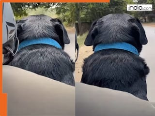 Rapido rider delivers dog as ‘Parcel’, Adorable video goes viral and leaves internet calling it the cutest delivery ever