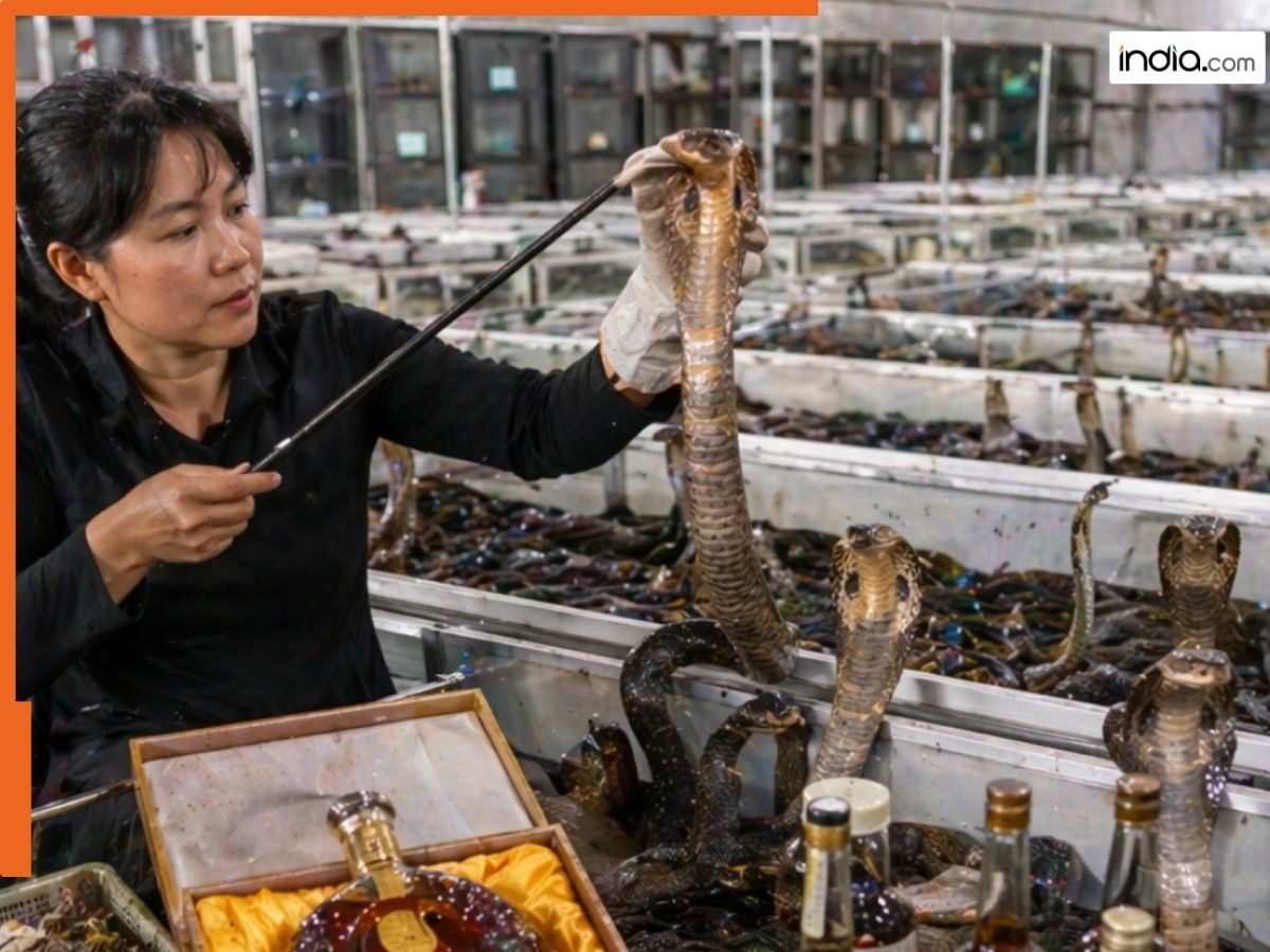महिला ने की 60 हजार 'सांपों की अनोखी खेती', हर साल कमा रही करोड़ों