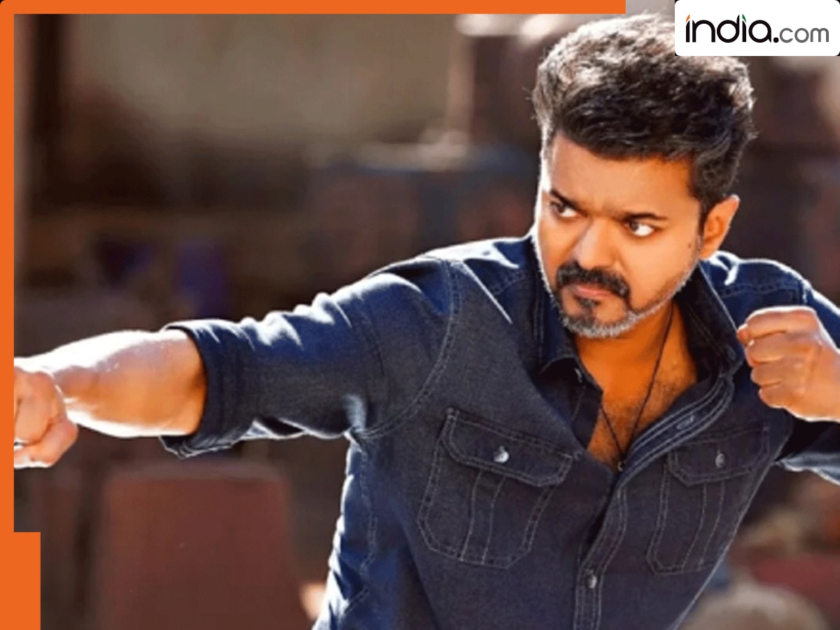 Will Thalapathy Vijay's TVK join forces with BJP-led NDA in Tamil Nadu? Here's what BJP has offered