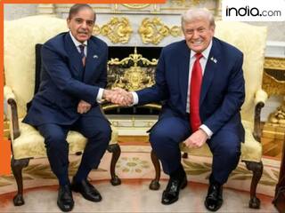 india.com top news