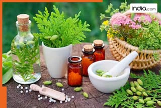 How does Patanjali Yogpeeth combine yoga, Ayurveda and naturopathy for natural healing?
