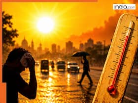 india.com top news