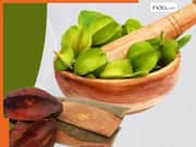 कोलेस्ट्रॉल और BP की दुश्मन है अर्जुन की छाल, जानिए इस्तेमाल का सही तरीका और समय