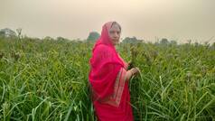 Strawberry and dragon fruit farming brought lakhs to Mantravati Shakya; Here's her story