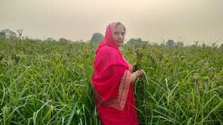 Strawberry and dragon fruit farming brought lakhs to Mantravati Shakya; Here's her story