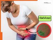 क्या वाकई तोरई की बेल को दूध में घिसकर पीने से पथरी निकल जाती है? जानें कैसे करना है सेवन