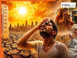 india.com top news