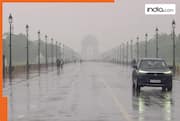 Delhi Weather: Rain lashes Delhi-NCR, IMD issues yellow alert — Check forecast