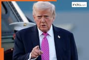 Why did Donald Trump request Iran to release 8 imprisoned women? US President shares photos, appeals to Tehran not to...