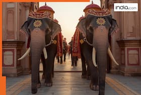 india.com top news