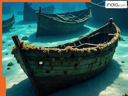 india.com top news