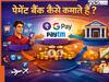 PhonePe, Paytm और Google Pay जैसे पेमेंट बैंक कैसे जेनरेट करते हैं रेवन्यू? जानें कैसे फायदे में हैं इन UPI ऐप्स का कारोबर