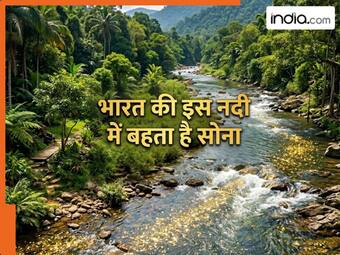 india.com top news