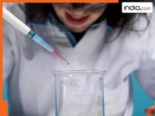 india.com top news