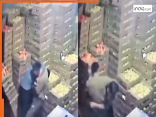 Fight Ka Video: गोदाम में मारपीट करने लगे दो बंदे, मगर सामान गिरते ही किया चौंकाने वाला काम