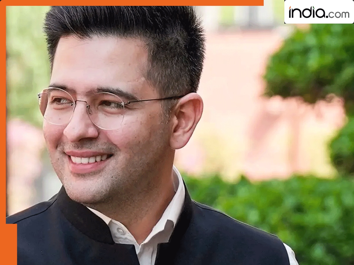 एक दिन में कितना कमाते हैं परिणीति चोपड़ा के पति राघव चड्डा? नहीं पता तो जान लो