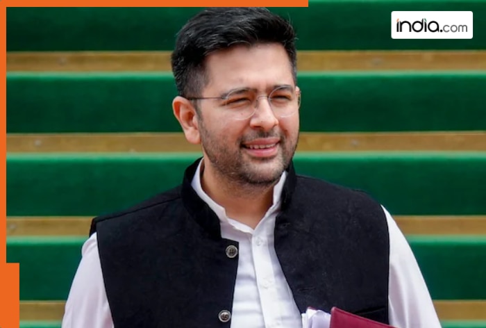 Bhagwant Mann takes major step against Raghav Chadha, Punjab Police withdraws Z+ security, AAP MP to now get security from...