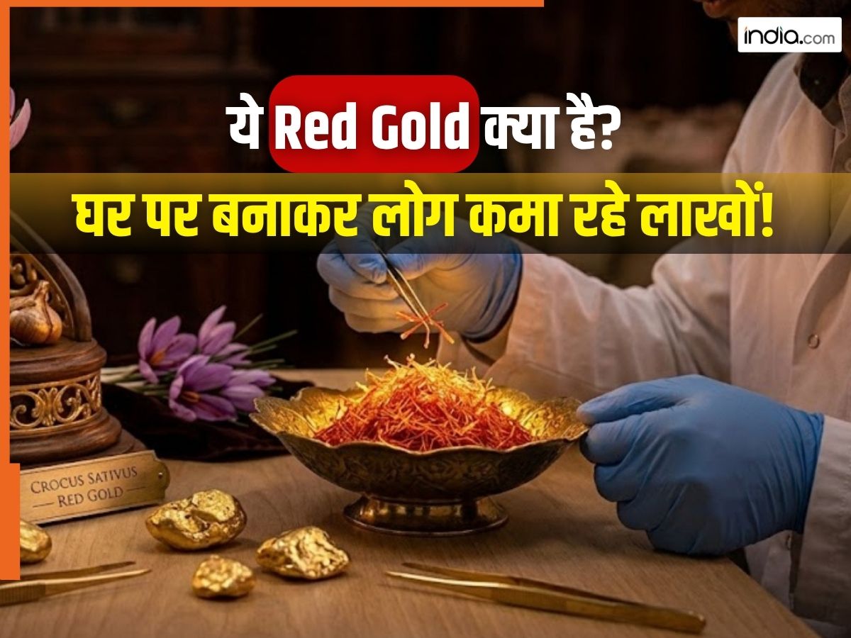 भारत में तेजी से बढ़ रहा 'रेड गोल्ड' का बाजार! कीमत 3 लाख रुपये किलो, आप घर पर कर सकते हैं इसे तैयार