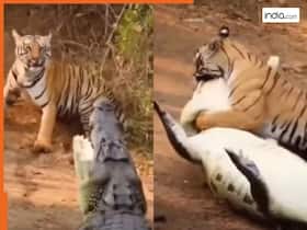 india.com top news