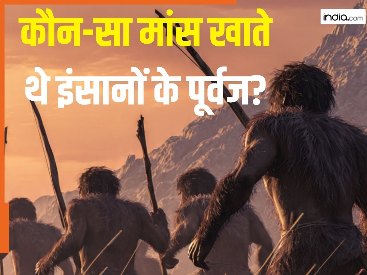 हजारों मुर्गों के बराबर वजन, 18 लाख साल पहले इन विशाल जानवरों को खाते थे इंसानों के पूर्वज, इसी से विशाल बना इंसानी दिमाग