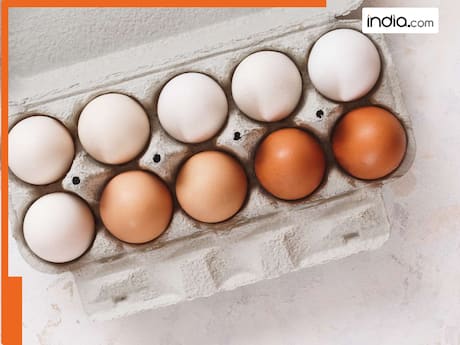 अंडों को फ्रिज में रखना चाहिए या बाहर? 99% लोगों को नहीं पता होता है सही जवाब