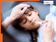 डेंगू या चिकनगुनिया? ऐसे पहचानें आप किसकी चपेट में आ गए हैं, जानें दोनों के लक्षण