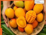 बाजार के आम कहीं केमिकल से पके तो नहीं? ऐसे करें तुरंत पहचान